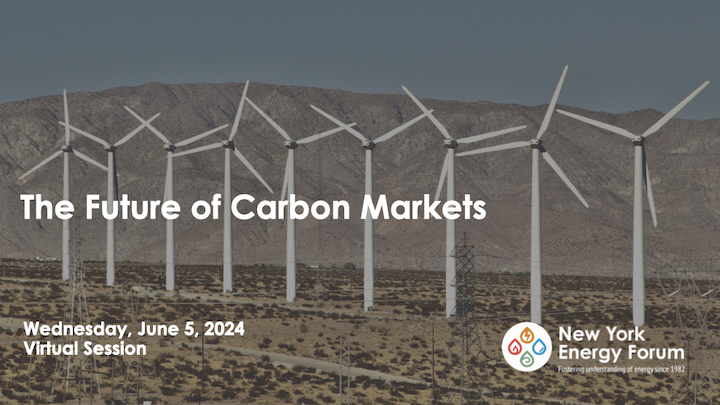 The Future of Carbon Markets