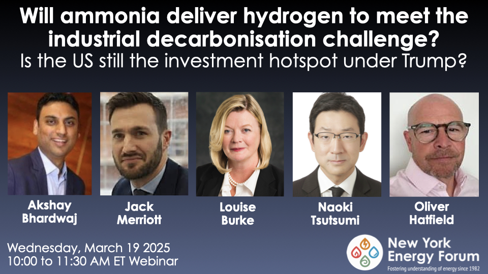 Will Ammonia Deliver Hydrogen to Meet the Industrial Decarbonisation Challenge? Is the US Still the Investment Hotspot Under Trump?