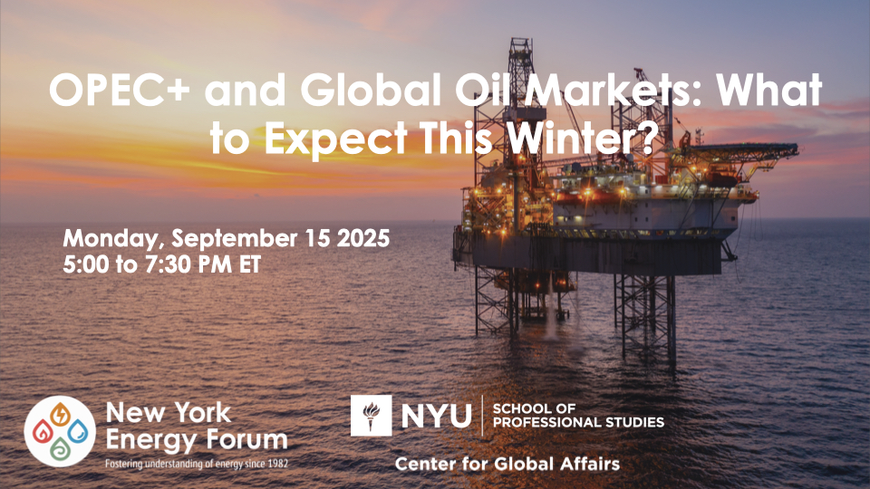 OPEC+ and Global Oil Markets: What to Expect This Winter?