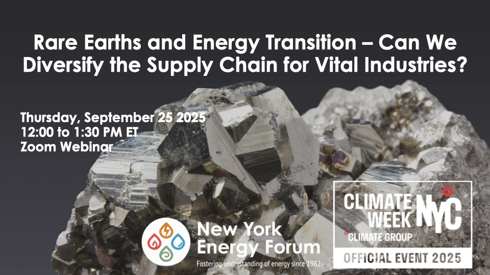 Rare Earths and Energy Transition – Can We Diversify the Supply Chain for Vital Industries?